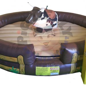 Mechanical Bull